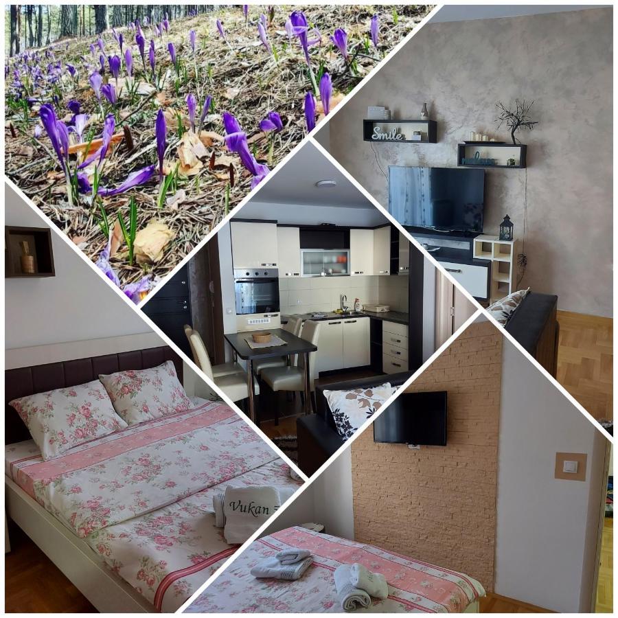 Vukan Petica Apartment